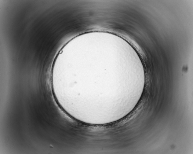 X0000103441247200810101058