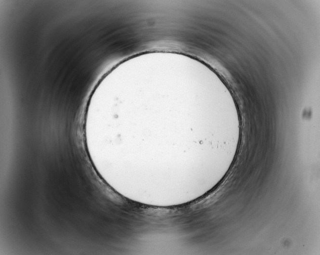 X0000103441248200810101058
