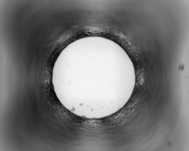 X0000103441253200810101057