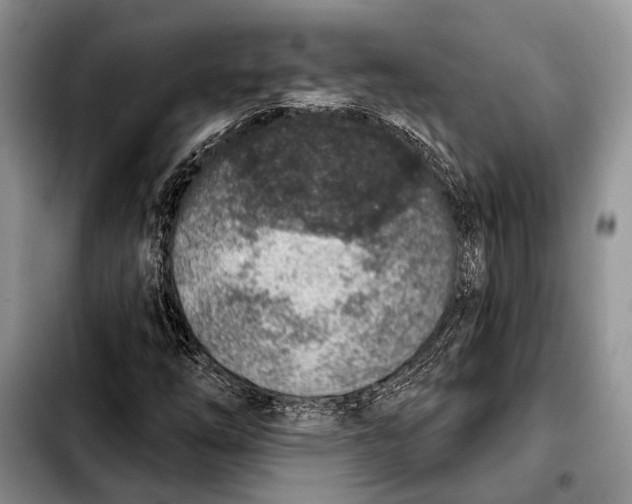 X0000103441254200810101057