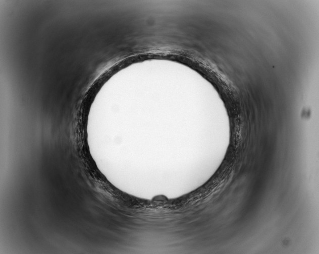 X0000103441256200810101057
