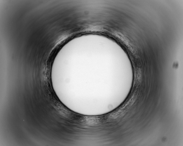 X0000103441258200810101057