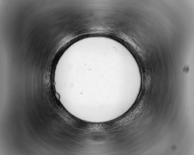 X0000103441259200810101057