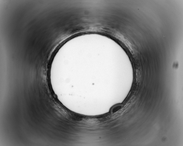 X0000103441260200810101057