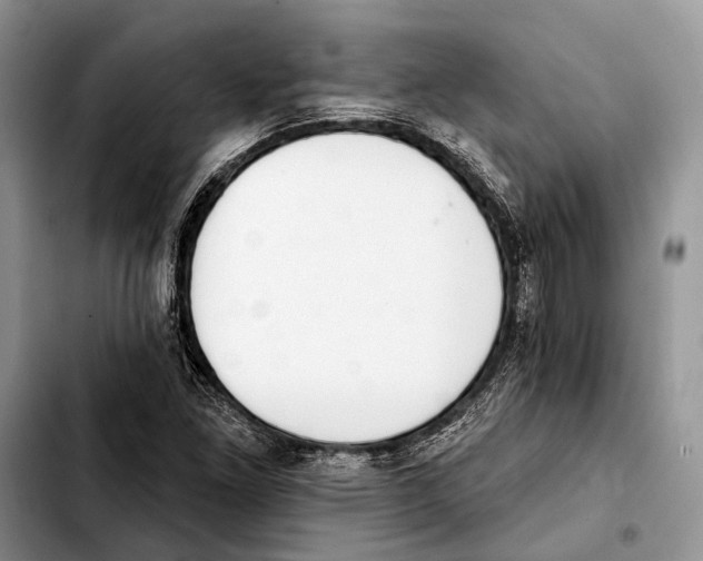 X0000103441261200810101057