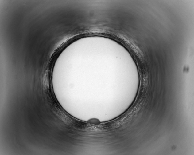 X0000103441262200810101057