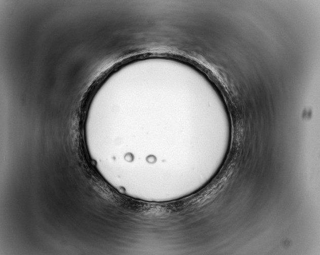 X0000103441263200810101057