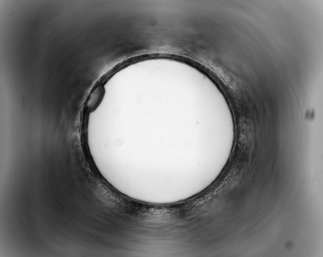 X0000103441264200810101057