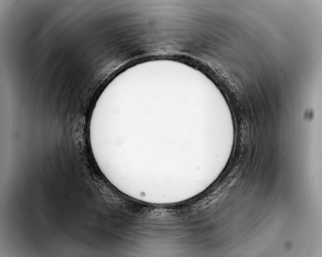 X0000103441265200810101057