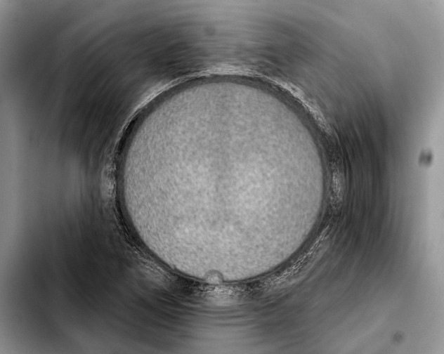 X0000103441266200810101057