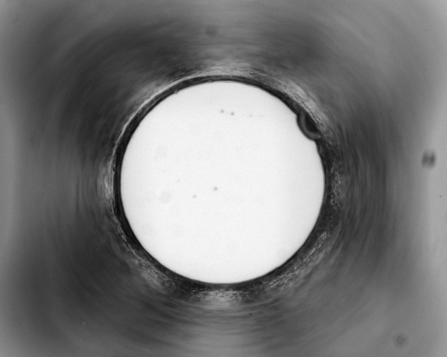 X0000103441268200810101057