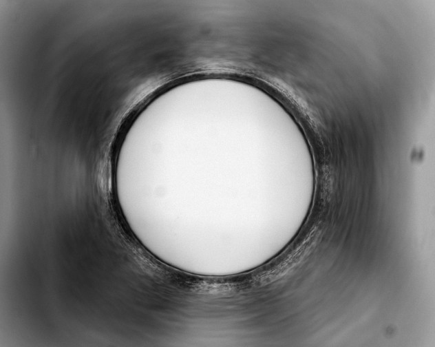 X0000103441269200810101057
