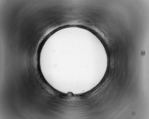X0000103441270200810101057