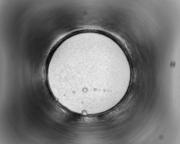 X0000103441271200810101057