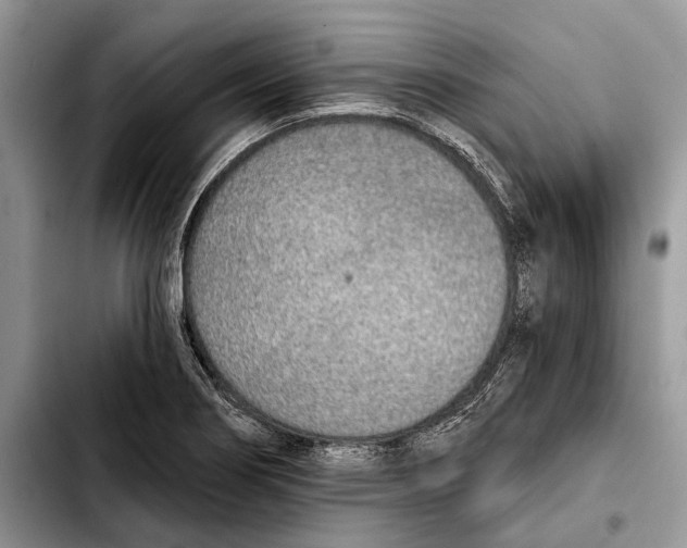 X0000103441274200810101057
