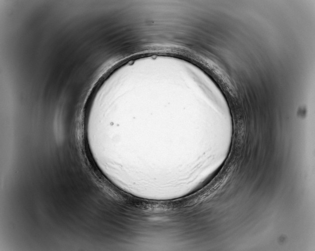 X0000103441275200810101057