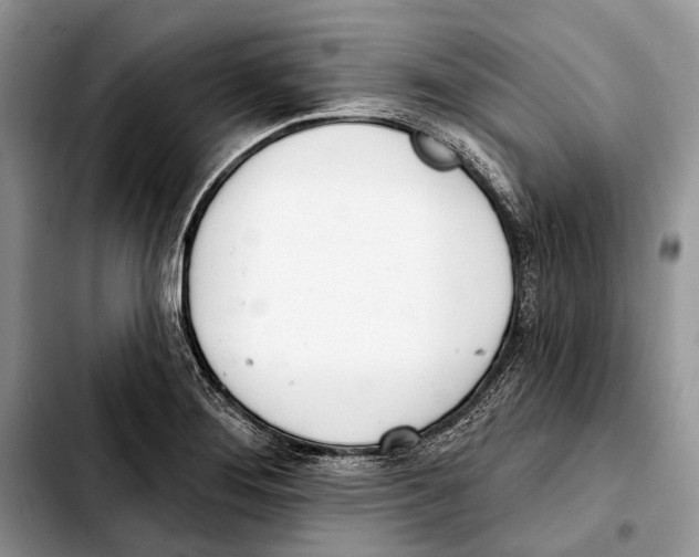 X0000103441276200810101057