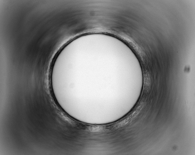 X0000103441278200810101057