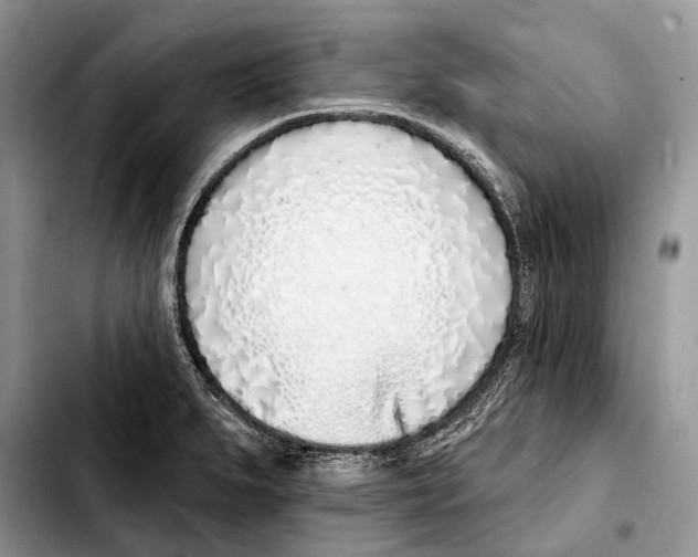 X0000103441279200810101057