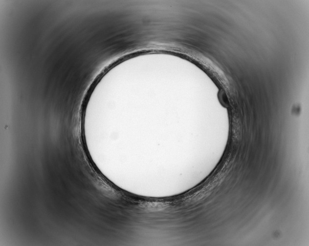 X0000103441280200810101057