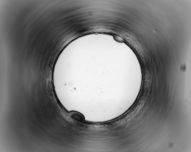 X0000103441281200810101057