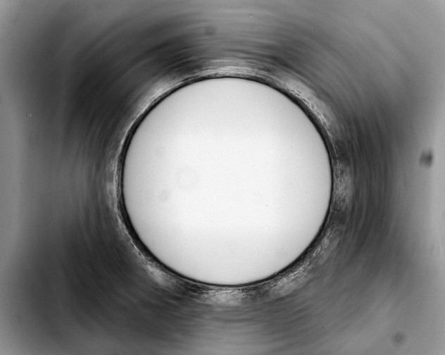 X0000103441282200810101057