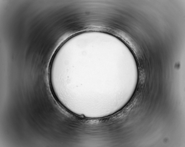 X0000103441283200810101057