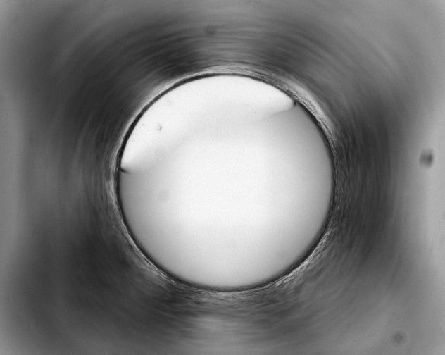 X0000103441284200810101057