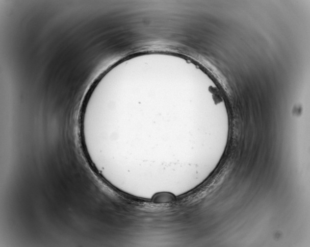 X0000103441285200810101057