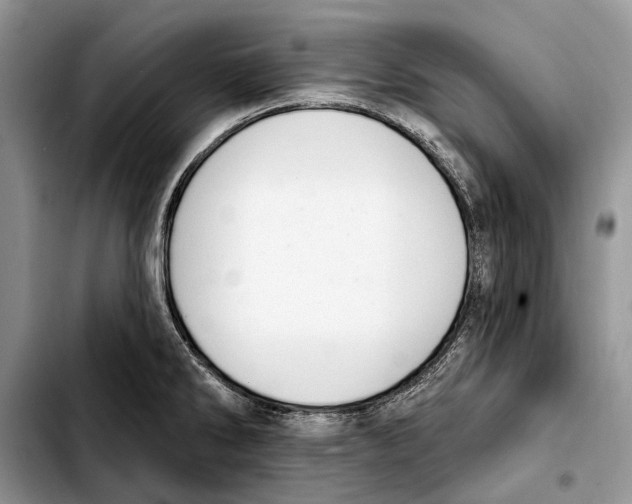 X0000103441286200810101057