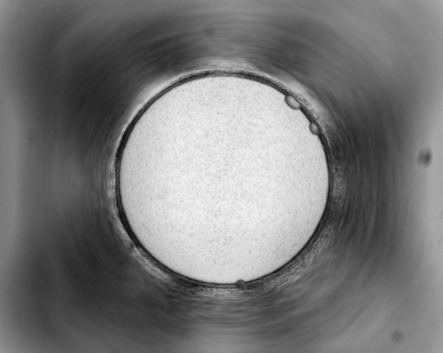 X0000103441287200810101057