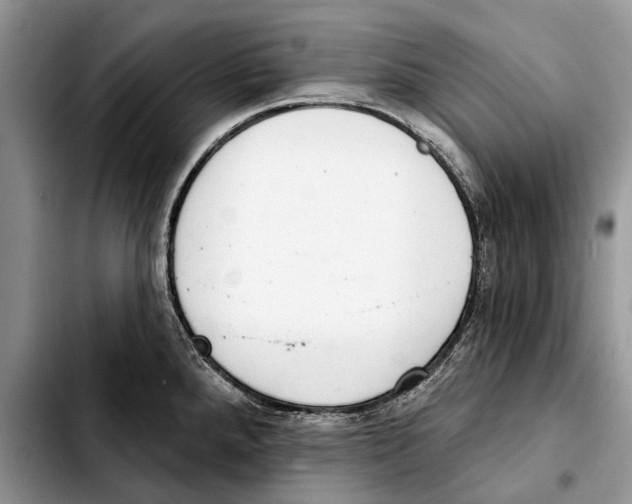 X0000103441288200810101057