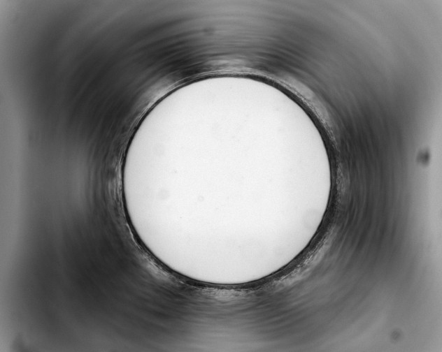 X0000103441289200810101057