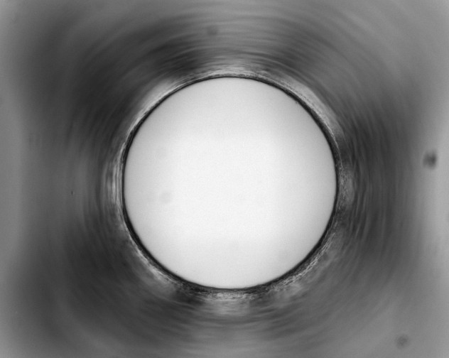 X0000103441290200810101057