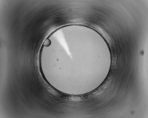 X0000103441291200810101057