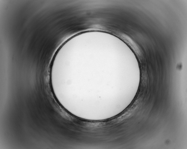X0000103441292200810101057