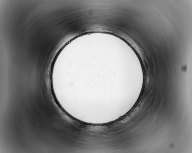 X0000103441293200810101057