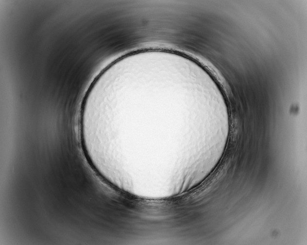 X0000103441295200810101057