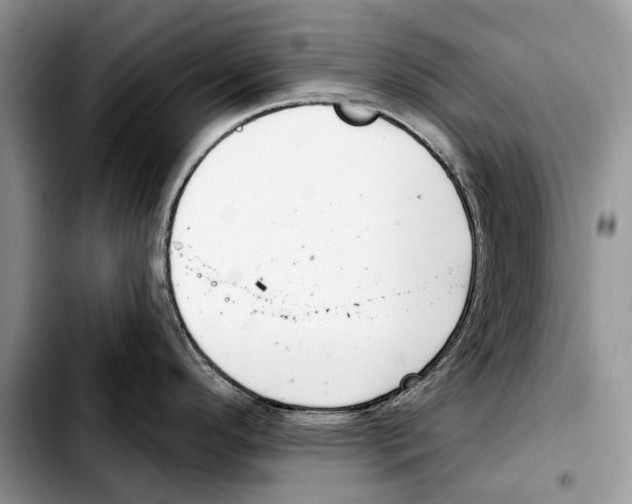 X0000103441296200810101057
