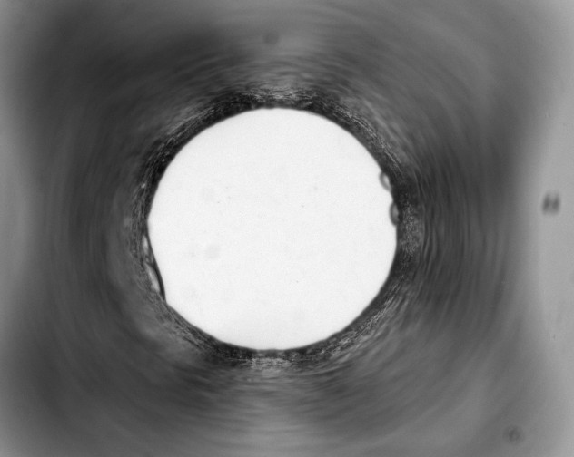 X0000103441297200810101056