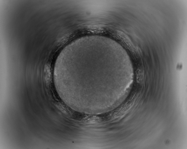 X0000103441298200810101056