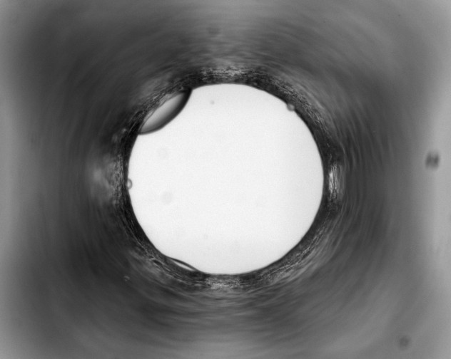 X0000103441299200810101056