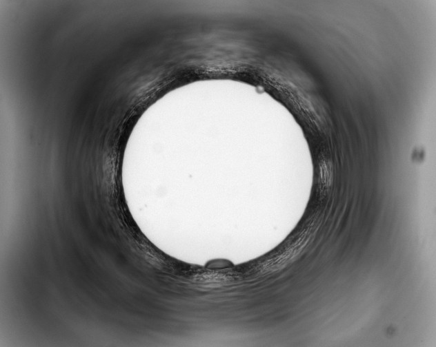 X0000103441300200810101056