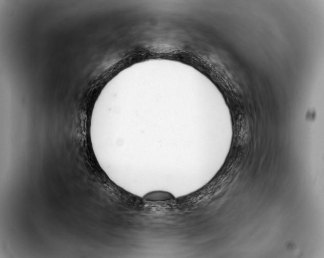 X0000103441301200810101056