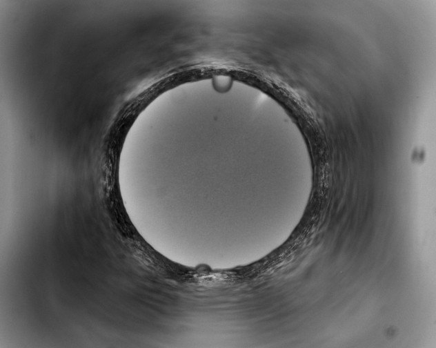 X0000103441303200810101056