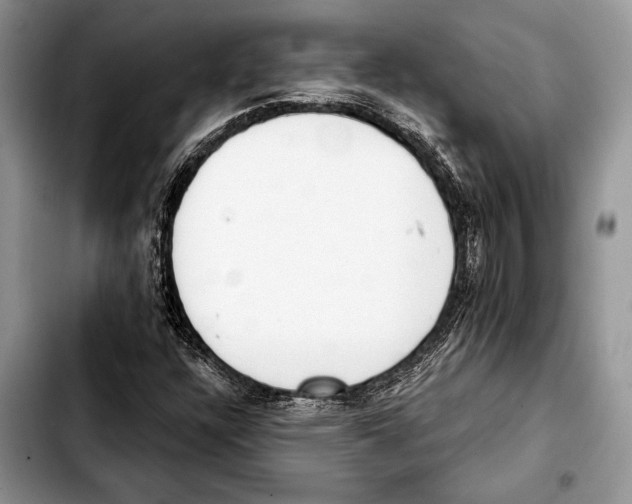 X0000103441304200810101056