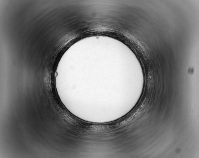 X0000103441305200810101056