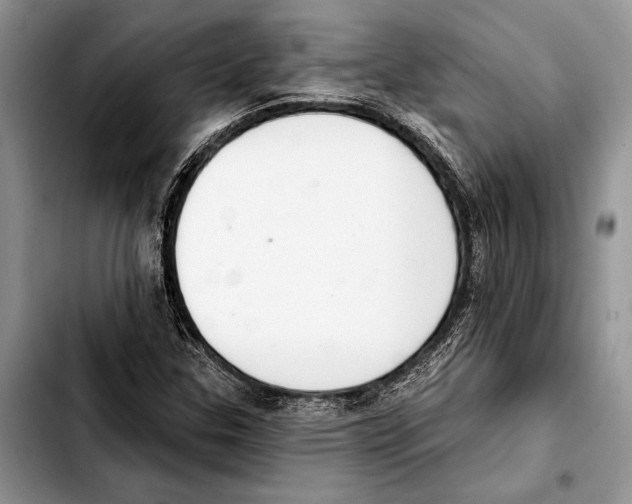 X0000103441307200810101056