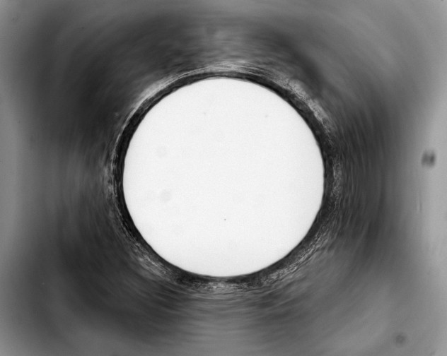 X0000103441308200810101056