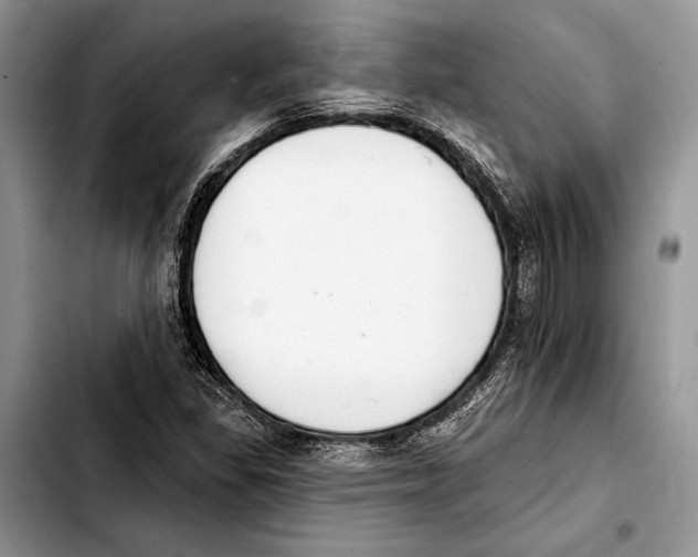 X0000103441309200810101056
